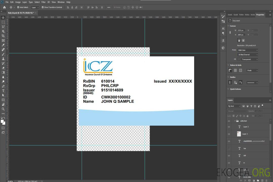 Carte d'assurance maladie du Zimbabwe template
